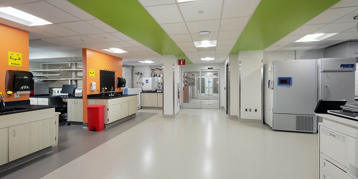 West Main Rochester Lab WPH Melanoma Lab 2