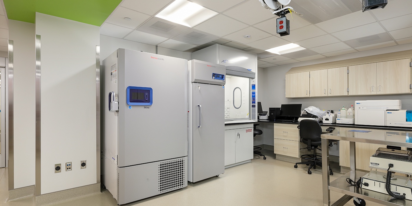 WPH Melanoma Lab 5